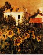Gustave Caillebotte Sunflowers, Garden at Petit Gennevilliers oil painting